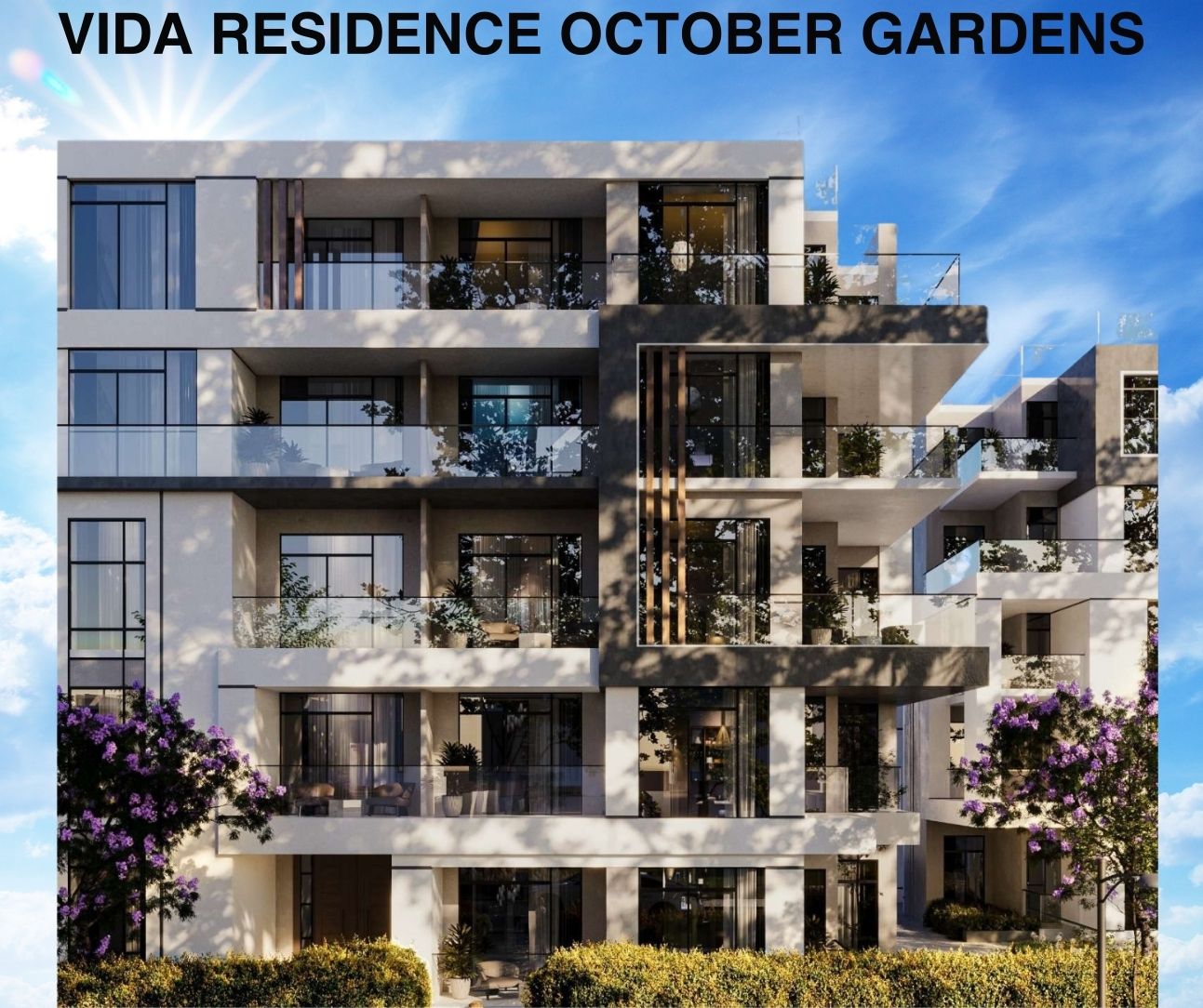 vida residence october