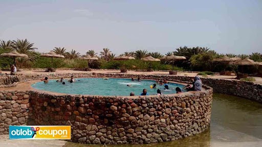 نزهة عائلية في حدائق اكتوبر